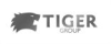 Tiger Logo - homist